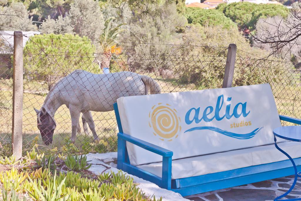 Aelia Studios Koukounaries Exterior foto